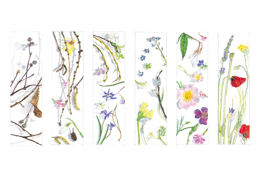 FineArt Druck Florale Monatsbilder – Bild 3