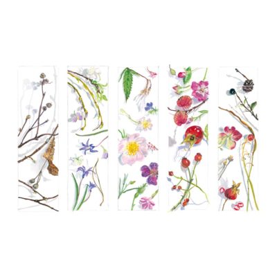 FineArt Druck Florale Monatsbilder